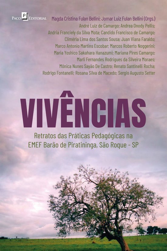 Vivências - cover