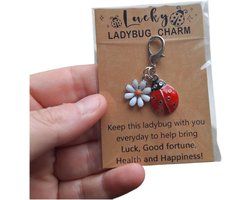 Gelukshanger ladybug - Pocket Hug - lieveheersbeestje - lucky charm - geluk - hart over de riem - ca