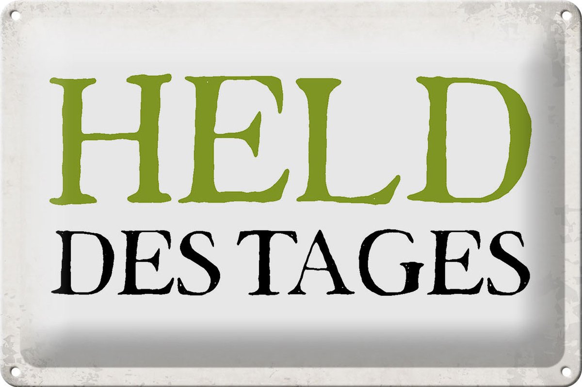 Blechschild Spruch 30x20cm Held des Tages Retro