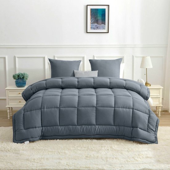 Bedrukt Dekbed Hoesloos Wasbaar Zonder Overtrek Lits Jumeaux - Blauw & Azuur 240x220cm