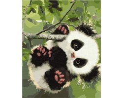 Schilderen op Nummer Set - Panda Op Één Tak - 40 x 50 cm - Ontspannend Kunstproject Voor Volwassenen En Kinderen - Inclusief Canvas Met Lijst, Acrylverf En Penseels