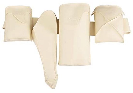 Koningin Padme Amidala Kostuum Accessoires Riem voor Cosplay en Halloween