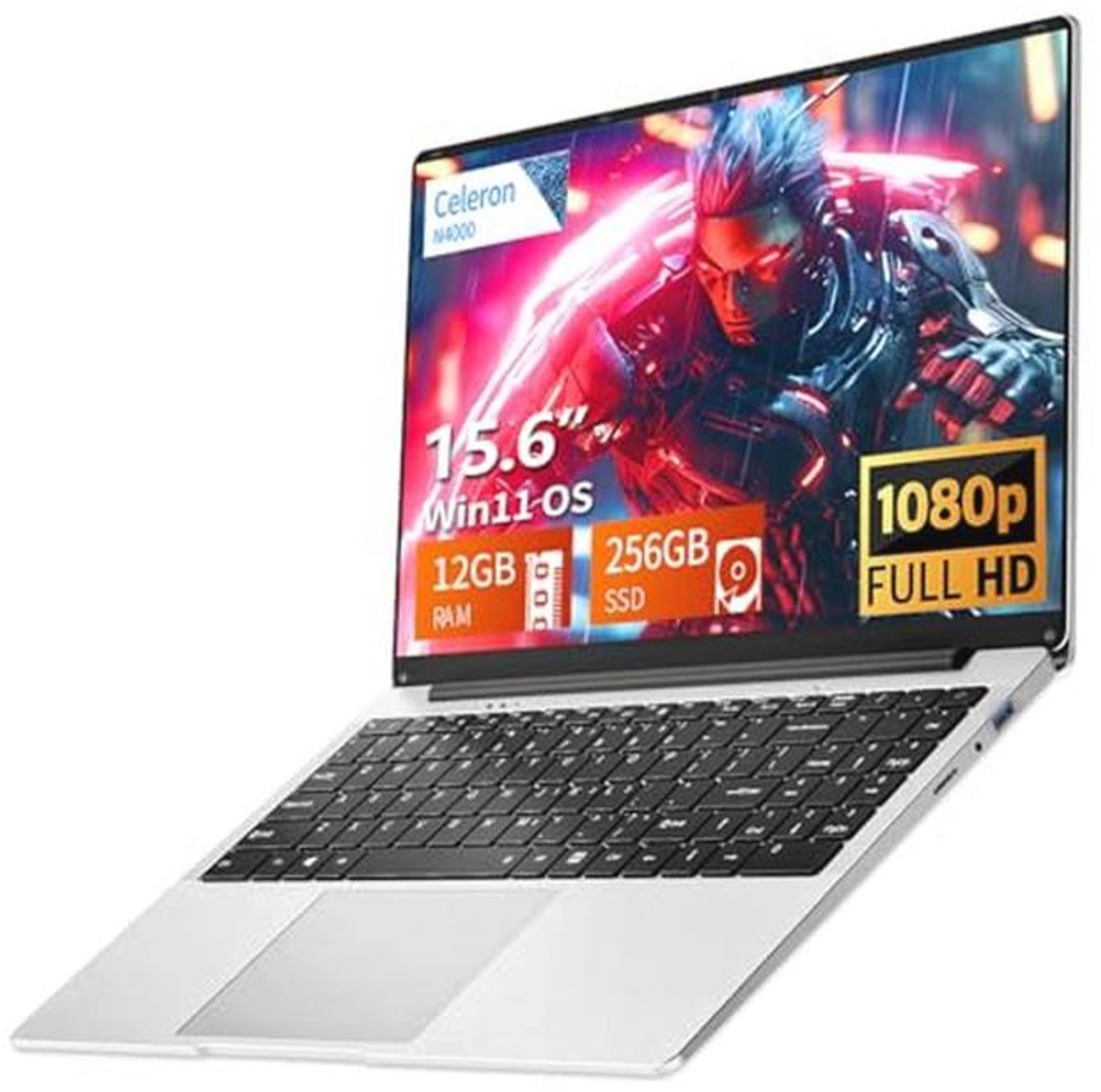 Laptop 39,6 cm (15,6 inch) met 8/12 GB RAM en 256 GB SSD