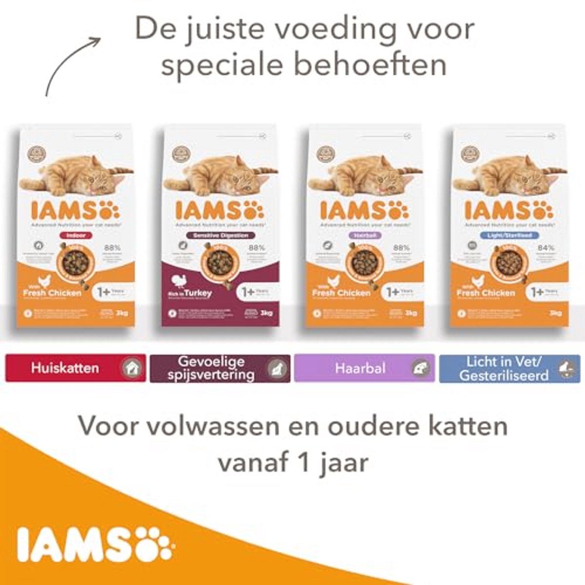 IAMS Anti-Haarbal kattendroogvoer met kip - droogvoer voor katten vanaf 1 jaar, 3 kg