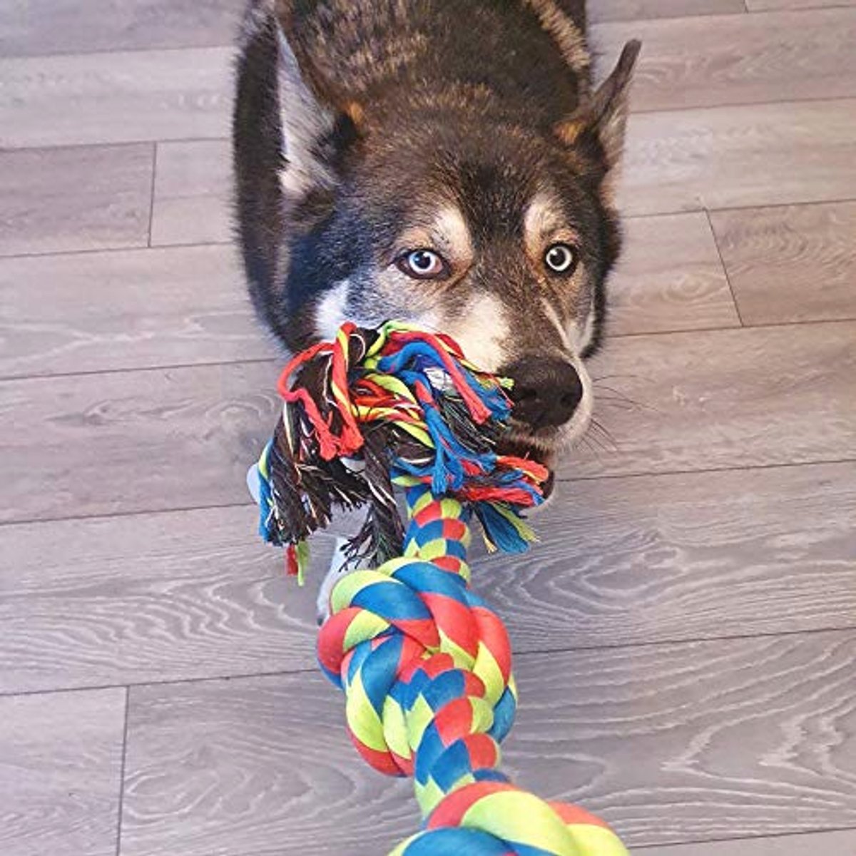 Triple Knot Touw Hondenspeelgoed - Duurzaam, Interactief Speelgoed voor Honden