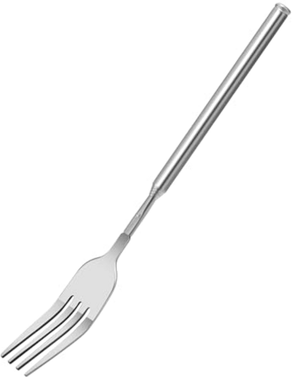Telescopische Vork van RVS, Verstelbaar van 22-65 cm, Ideaal voor Grillen en Dessert