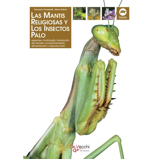 La mantis religiosa y los insectos palo - cover