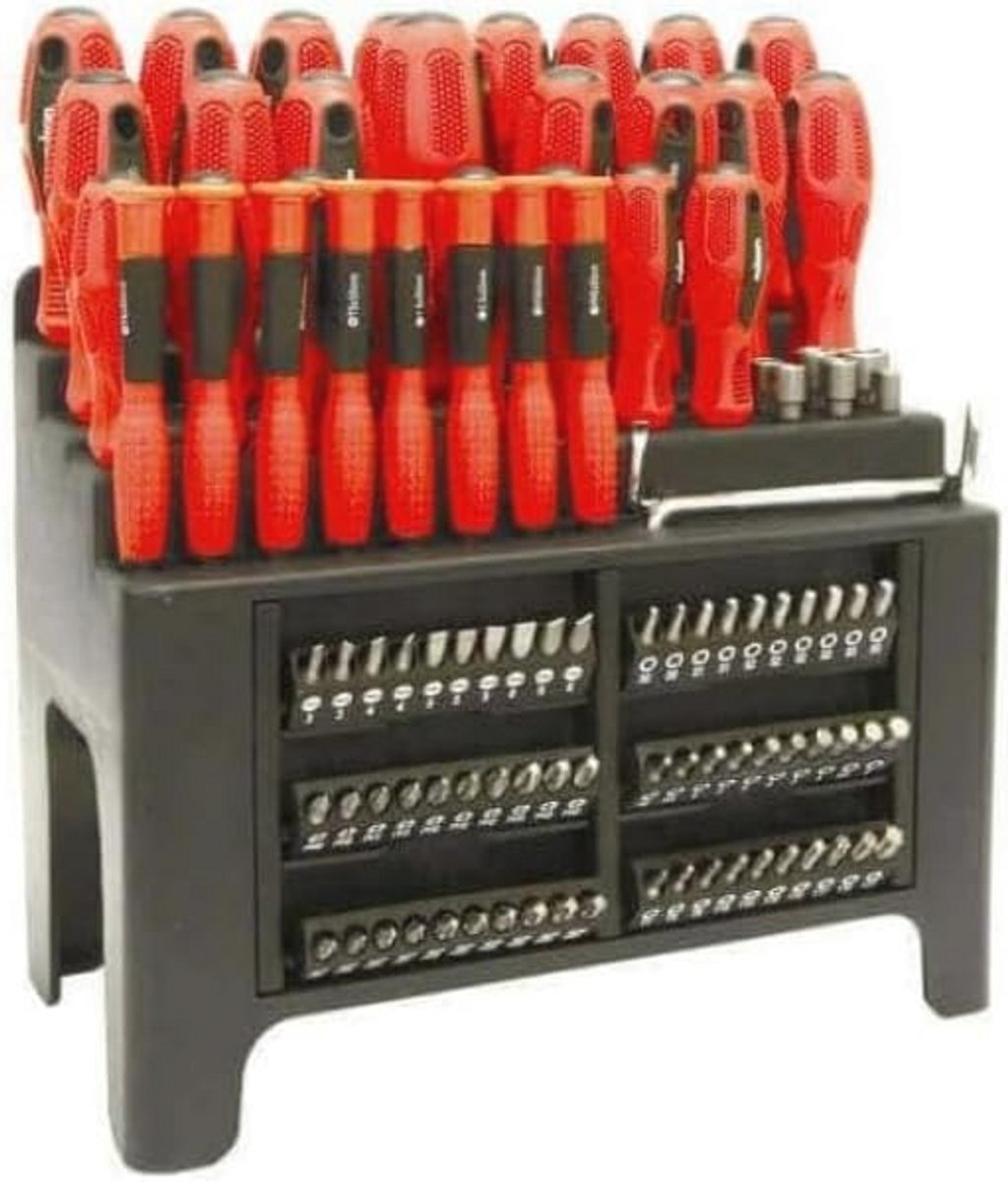 100 delige Schroevendraaier Set