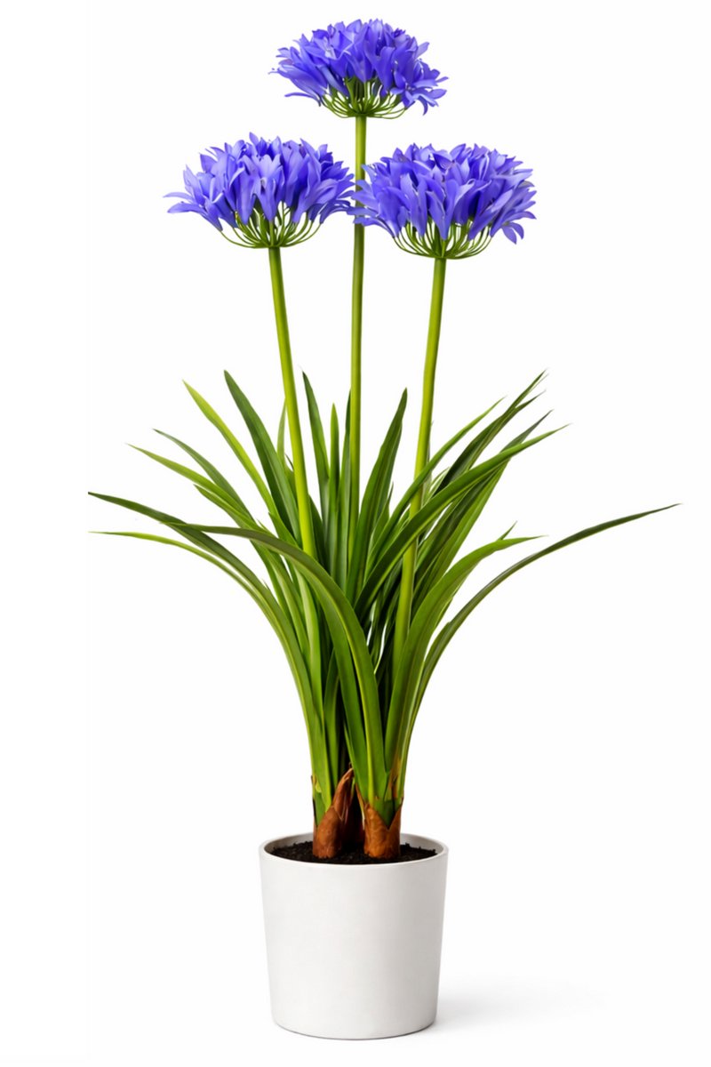 HEM Kunstplant Agapanthus Paars 80 cm in witte pot – Nepplant voor binnen – Realistische kunstbloemen – Ideaal Als Bureau Tussenwand