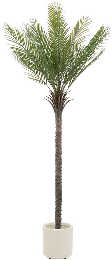Un palmier artificiel de 210 cm dans un pot blanc chic.