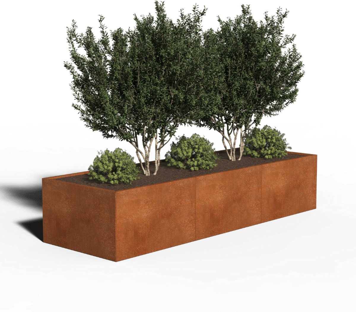 Cortenstaal Plantenbak Rechthoek | 300 x 100 x 40 | Zonder bodem