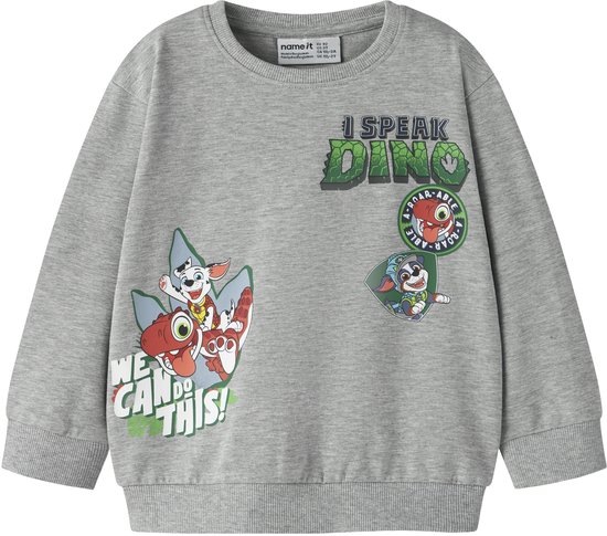 Grijze sweater met 'I SPEAK DINO' en Paw Patrol-personages, inclusief tekst 'WE CAN DO THIS!'