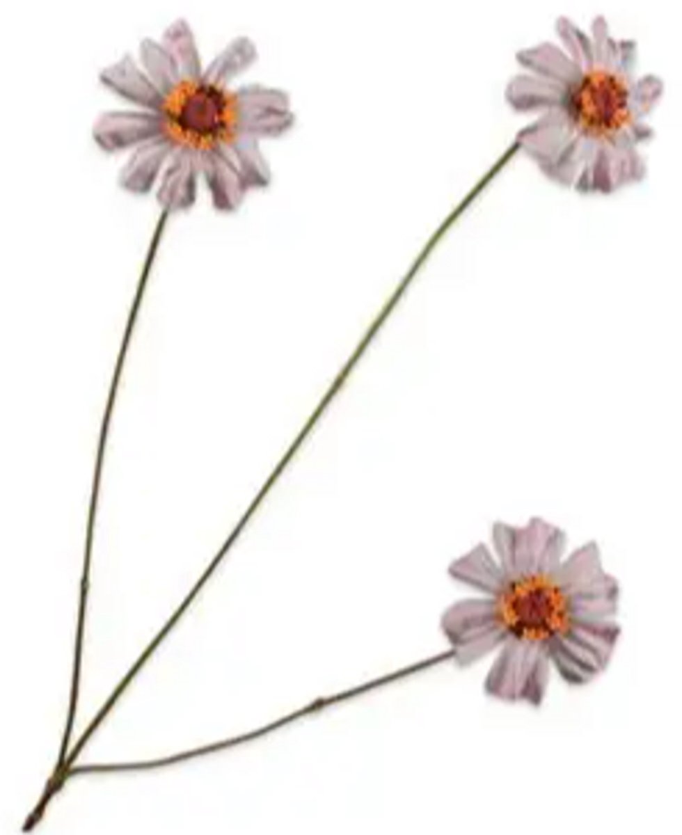 Silk-ka Zinnia tak mauve 64 cm licht paars