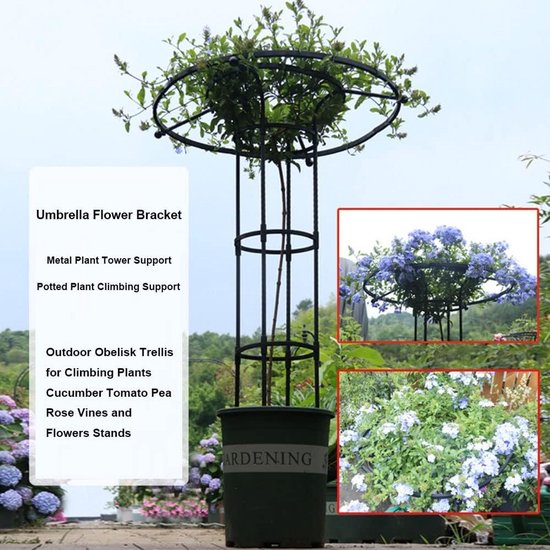 Een zwarte plantentoren met een parapluvormige bovenkant, met blauwe bloemen die omhoog klimmen.