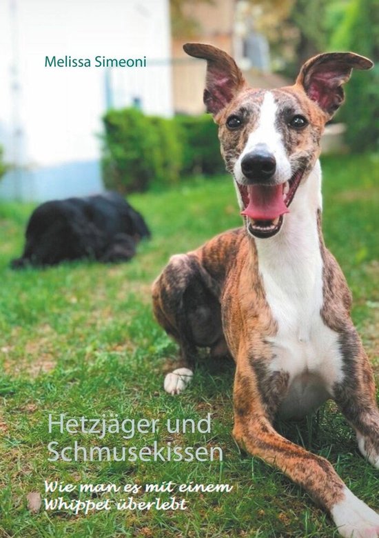 Hetzjäger und Schmusekissen - cover