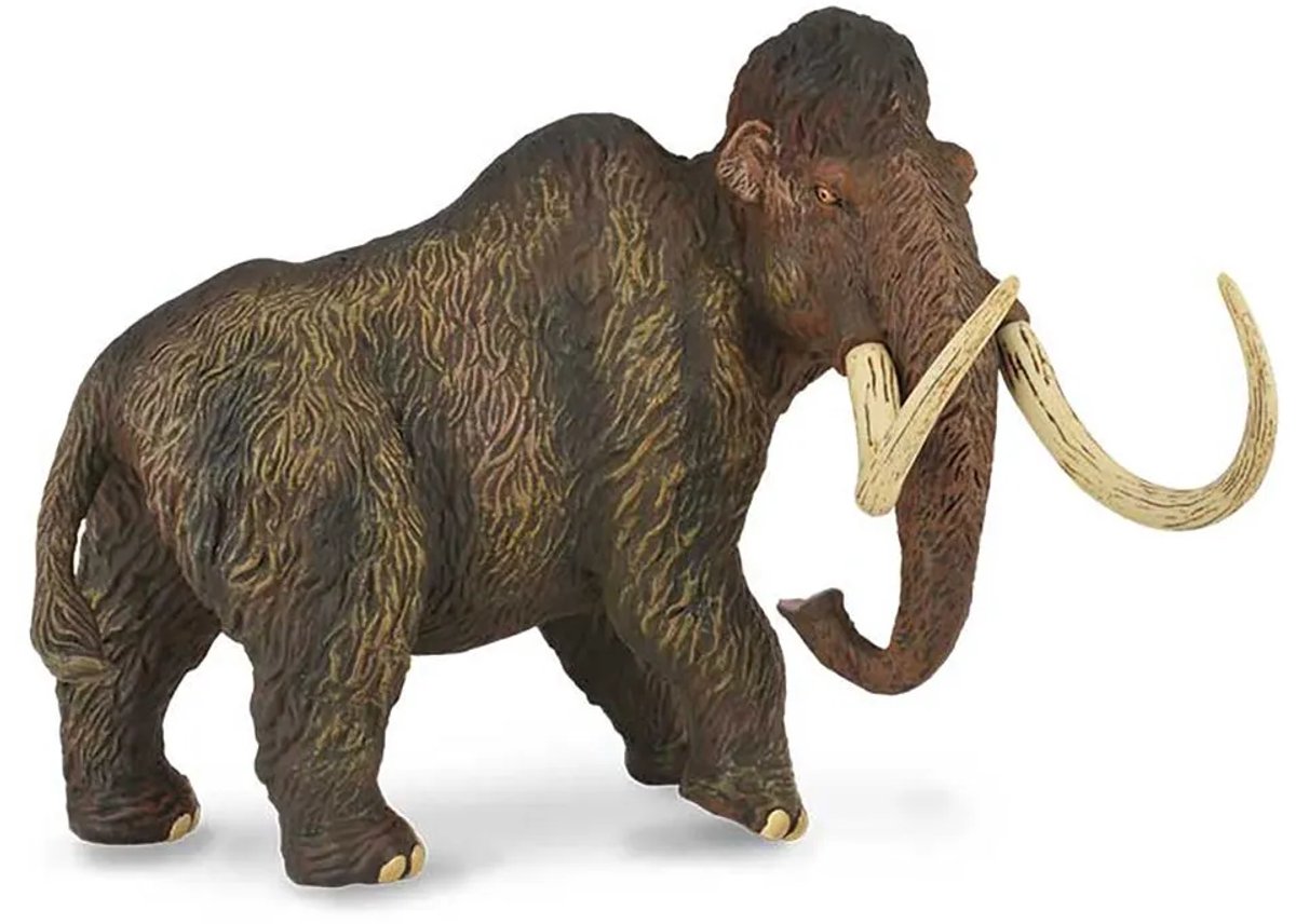 Figurine - Wolharige Mammoet - 1:20 - Prehistorie - Handgeschilderd - Miniatuur de Collecta en Marron – photo du produit