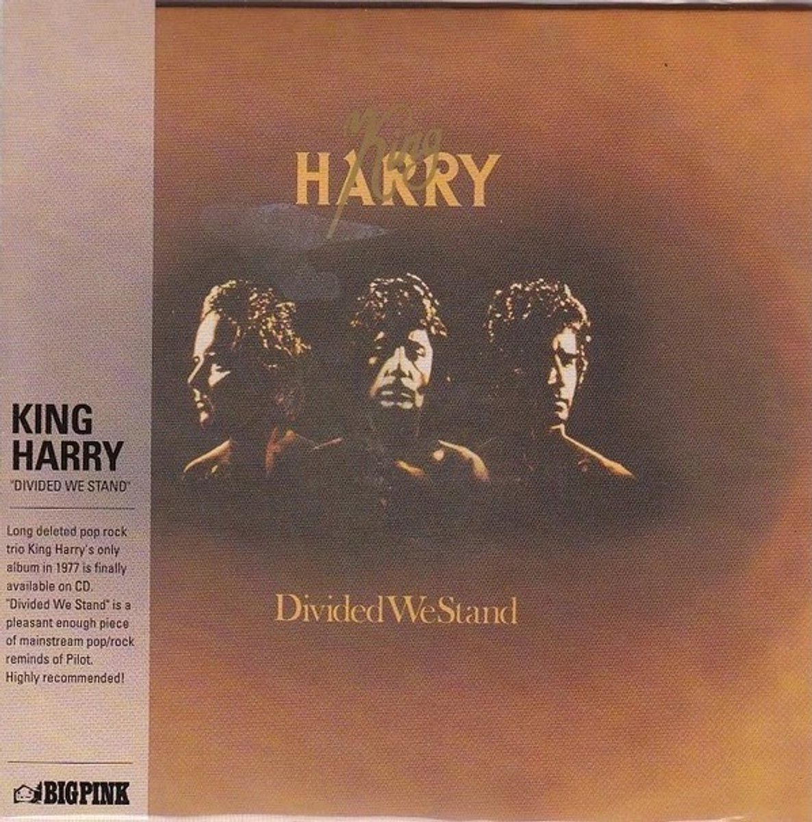 King Harry - Divided We Stand (CD)