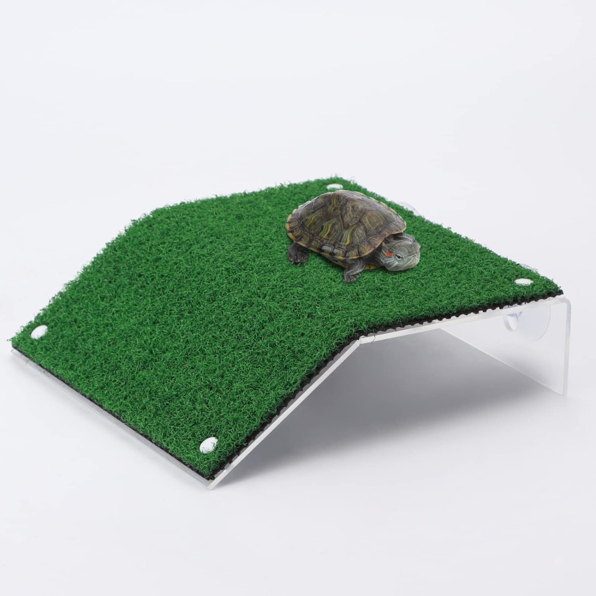 Stunq® Schildpad Basking Platform – Realistisch Gazon Ladder, 20x21cm