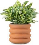 Bloempot in ribbeldesign, plantenpot van terracotta met ribbels, 16 x 14 cm, bloempot voor kamerplant in geribbelde vorm, bloempot met onderzetter