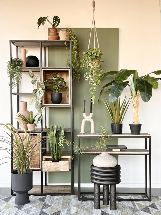 Een groene hangplant met lange, slanke bladeren hangt aan de bovenkant van een zwarte metalen rek.