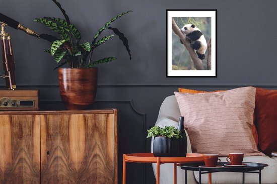 Jeune panda grimpe à un arbre 30x40 cm - petit