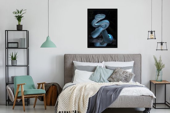 Affiche avec cadre Serpent bleu - 60x80 cm