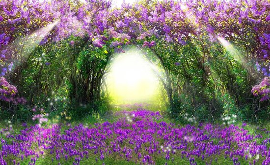 Fotobehang - Vlies Behang - 3D Tunnel van Bloemen en Planten - Tuin