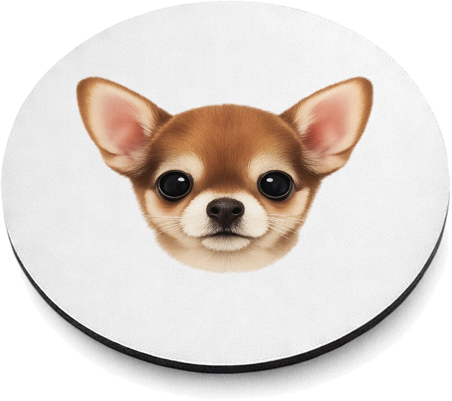Mr Cadeautjes MDF magnetische fotolijst rond Ø 9,5 - design Een klein, centraal portret van een nieuwsgierige kat met ro | cadeau Wit