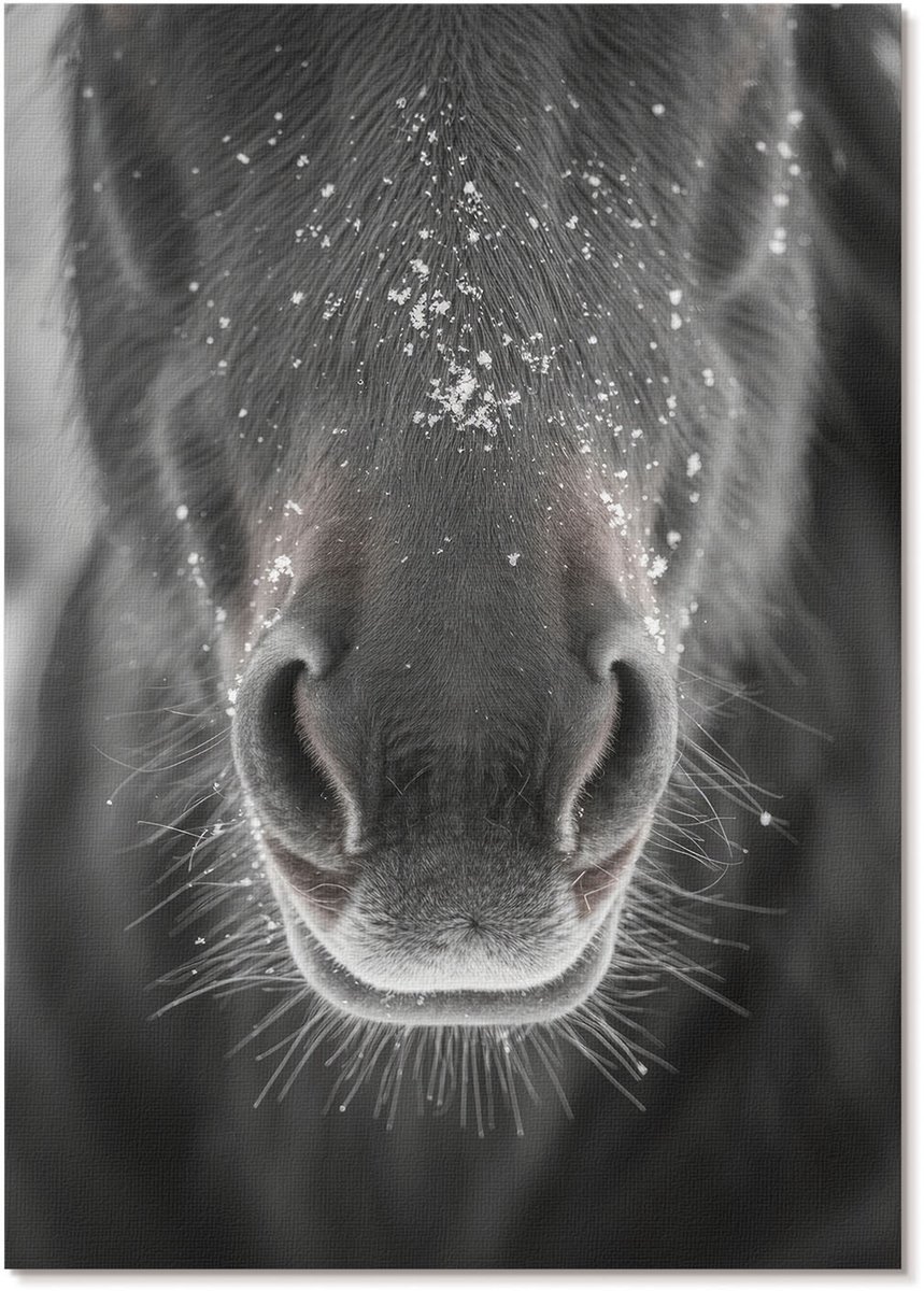 Tulup Canvas Poster Polycanvas - Paard En Sneeuw, Fotografie - A4 - Grijs Decoratie - Rechthoek - Decoratieve poster - Woonkamer, Slaapkamer, Kantoor - Modern