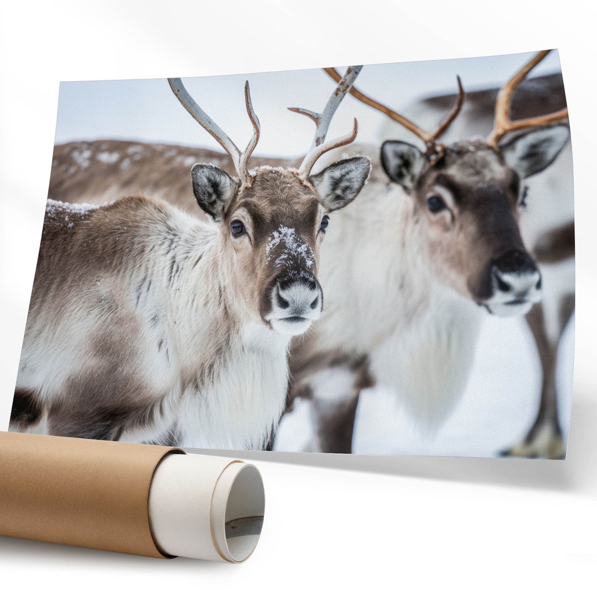 Coloray Polycanvas Poster - Basketbal, Fotografie - 594 x 840 mm - Zwart-wit Wandposter - Rechthoek - Muurdecoratie - Woonkamer - Modern