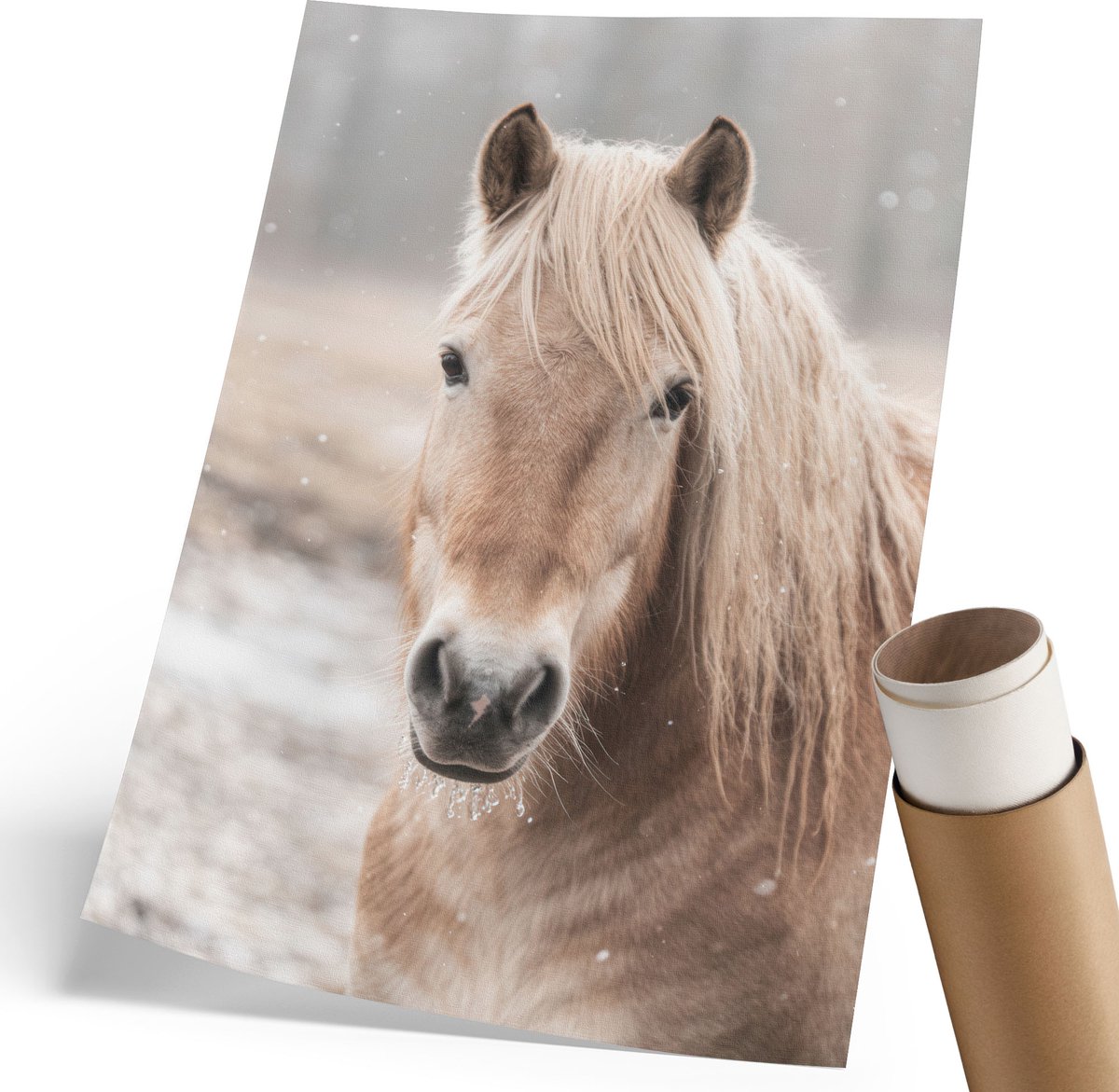 Coloray Polycanvas Wandposter - Winterpaard, Fotografie - 210 x 297 mm - Beige Illustratie - Rechthoek - Wandkunstwerk - Woonkamer, Slaapkamer, Kantoor - Klassiek