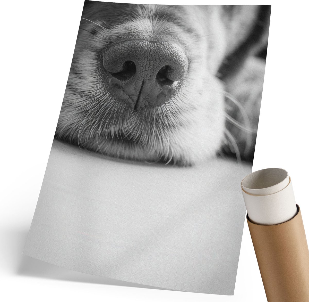 Coloray Canvas Poster Polycanvas - Hondengezicht, Fotografie - 210 x 297 mm - Zwart-wit Poster - Rechthoek - Wandkunst - Woonkamer, Slaapkamer, Kantoor - Modern