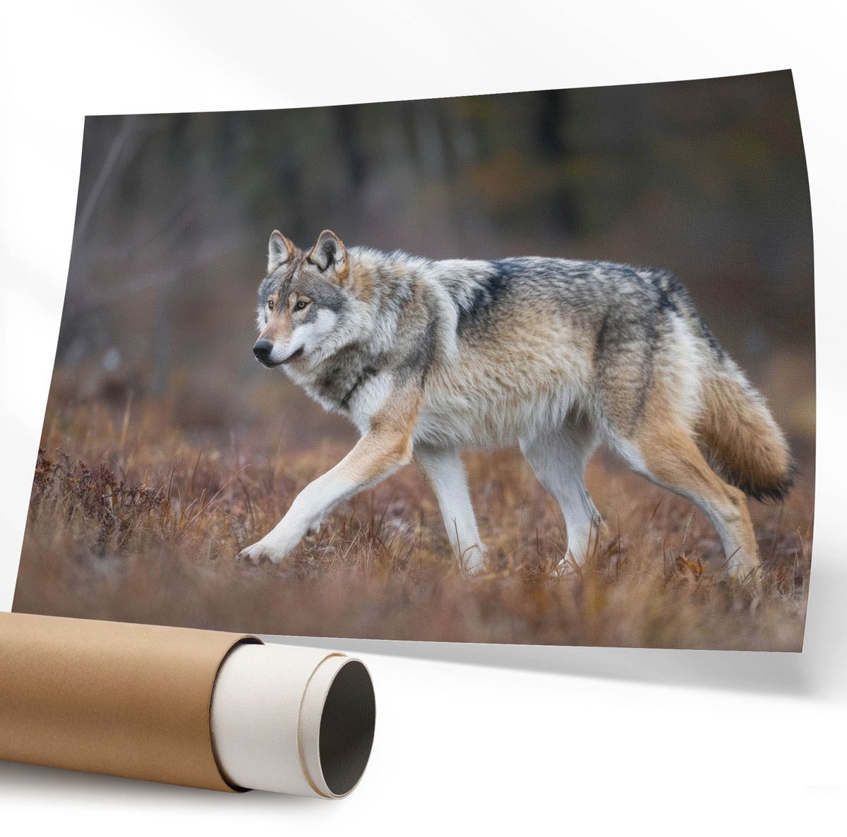 Coloray Polycanvas Wandposter - Retro Rome, Poster - 594 x 840 mm - Oranje Patroon - Rechthoek - Interieurdecoratie - Kantoor - Modern
