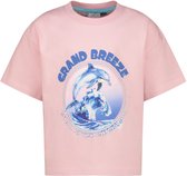 Vingino Hemina Meisjes T-shirt - Fairy Pink