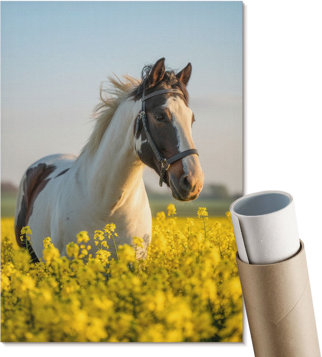 Coloray Canvas Poster Polycanvas - Een Paard In Een Veld, Fotografie - A4 - Geel Decoratie - Rechthoek - Decoratieve poster - Woonkamer, Slaapkamer, Kantoor - Klassiek