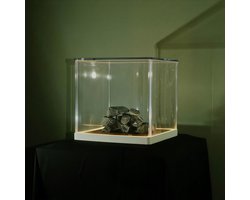 Tra Phaidin - Cloch's Clai (CD)