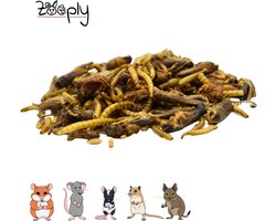 Zooply Insectenmix - Kruiden & Snacks - 100% natuurlijk - Voor hamsters, gerbils & ratten - 100 gram