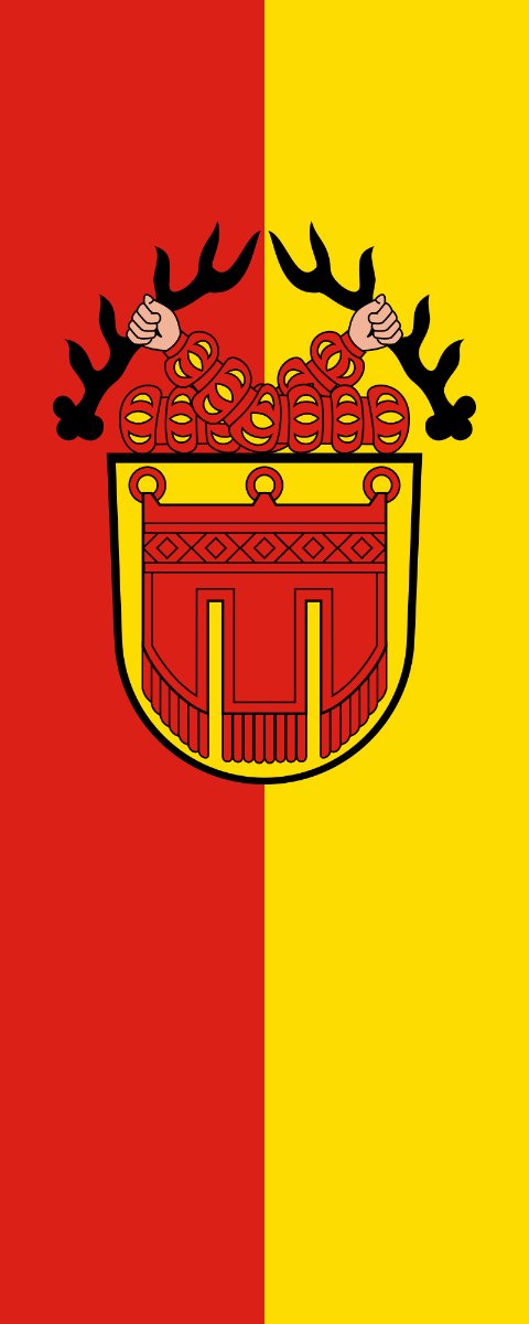 Vlag Tübingen 200x300cm