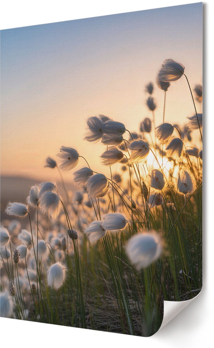 Coloray Canvas Poster Polycanvas - Romantisch Landschap, Fotografie - 594 x 840 - Oranje Decoratie - Rechthoek - Decoratieve poster - Kantoor - Klassiek