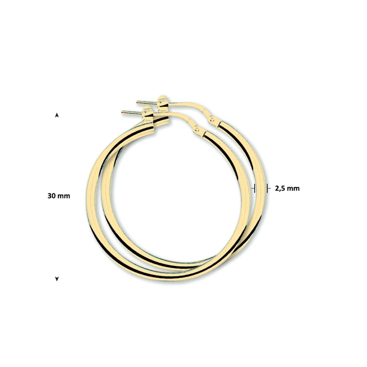 Oorringen 2,5 mm ronde buis 1 micron