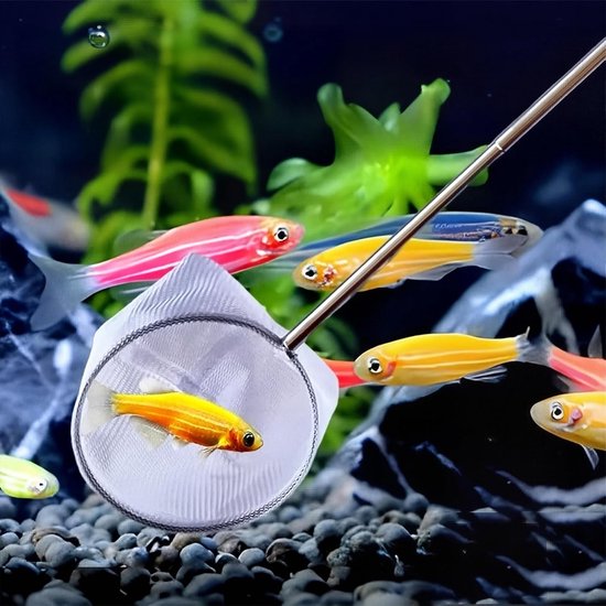 2 stuks aquarium visnet met uittrekbare roestvrijstalen handgreep, twee vormen mini schepnet, fijnmazig en scheurvast voor kleine vissen en garnalen, aquariumaccessoires voor tank, vijver en beek​​ — afbeelding 4