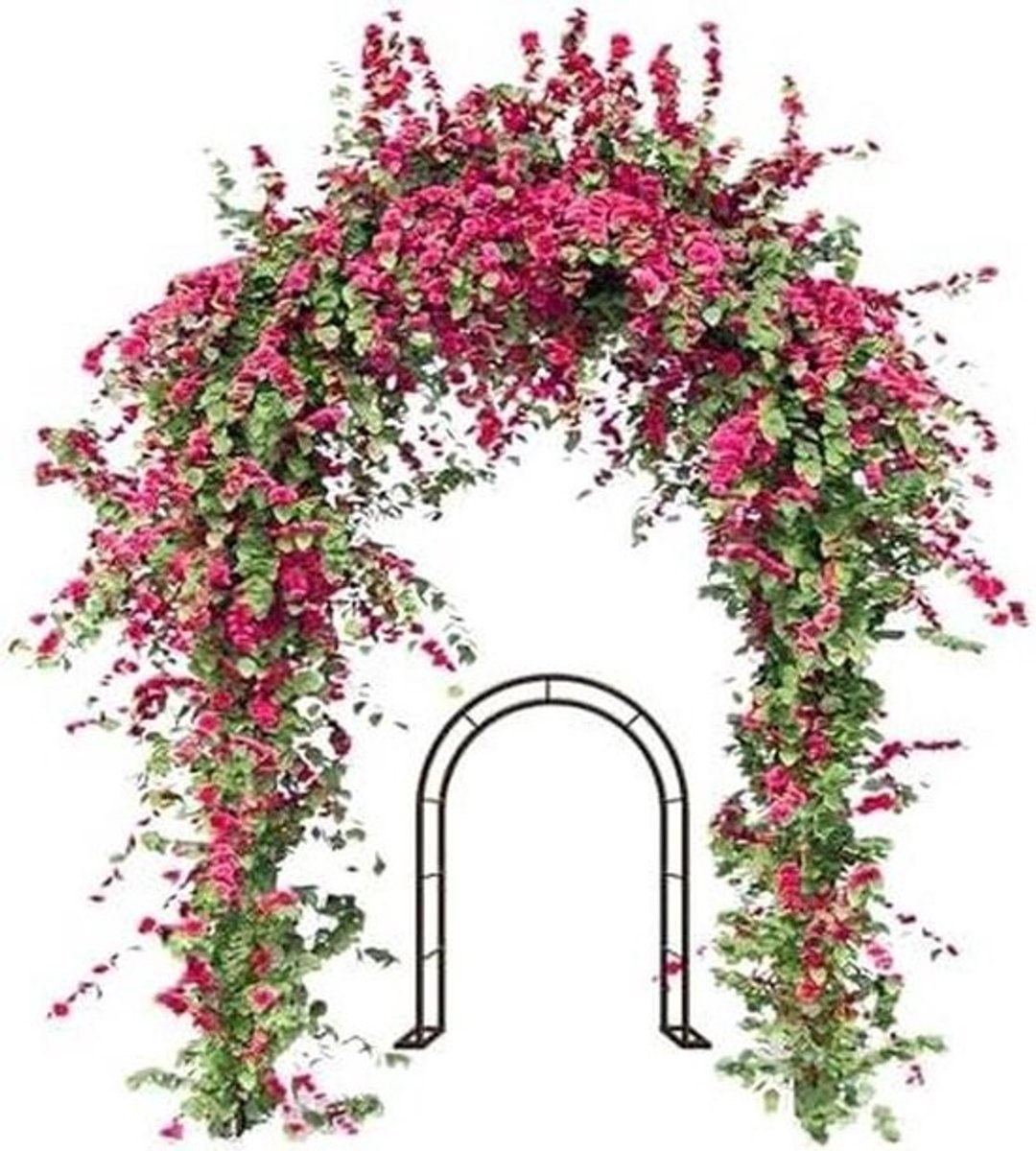 Tuinboog Metaal - Rozenboog Klimplanten - Tuin Decoratie - Verzinkt Staal Frame - W80 x H200cm - Wit