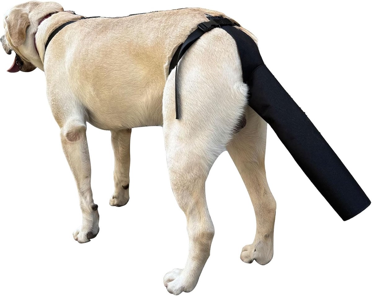 Staartbeschermer, Hondenstaartafdekking voor Wonden Zwart Hondenharnas met Staartbeschermer Honden Staartbeschermerhoes voor Hondengelukstaartsyndroom (Maat L)