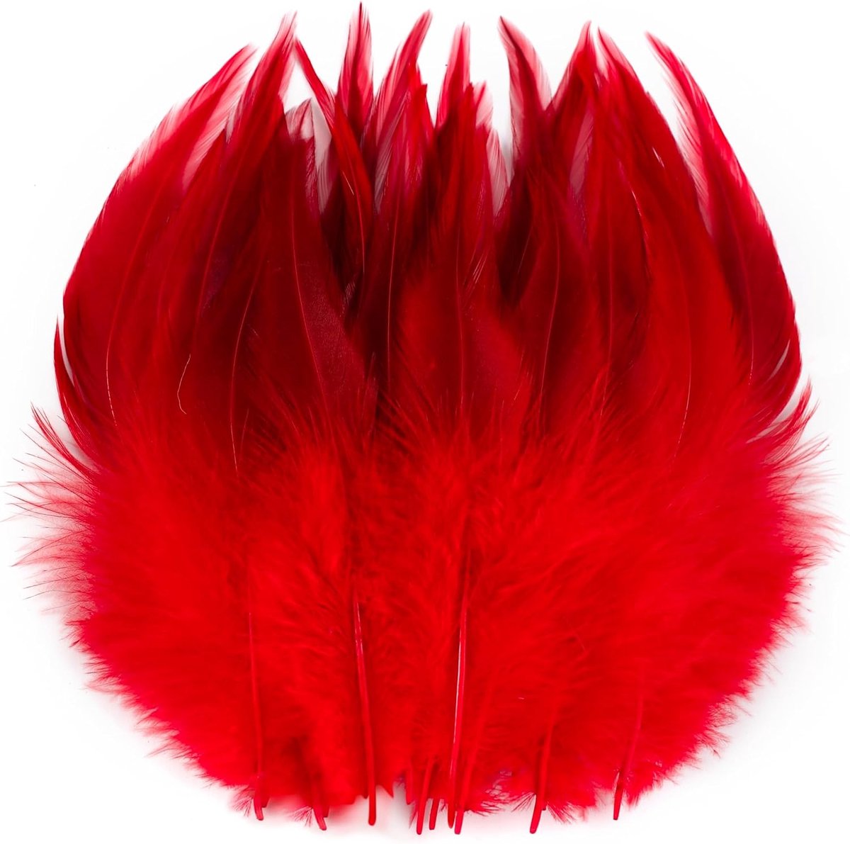 Veren, 13-18 cm, om te knutselen, voor doe-het-zelf hoed, sieraden, bruiloft | Knutselen en thuisfeestdecoraties (rood)
