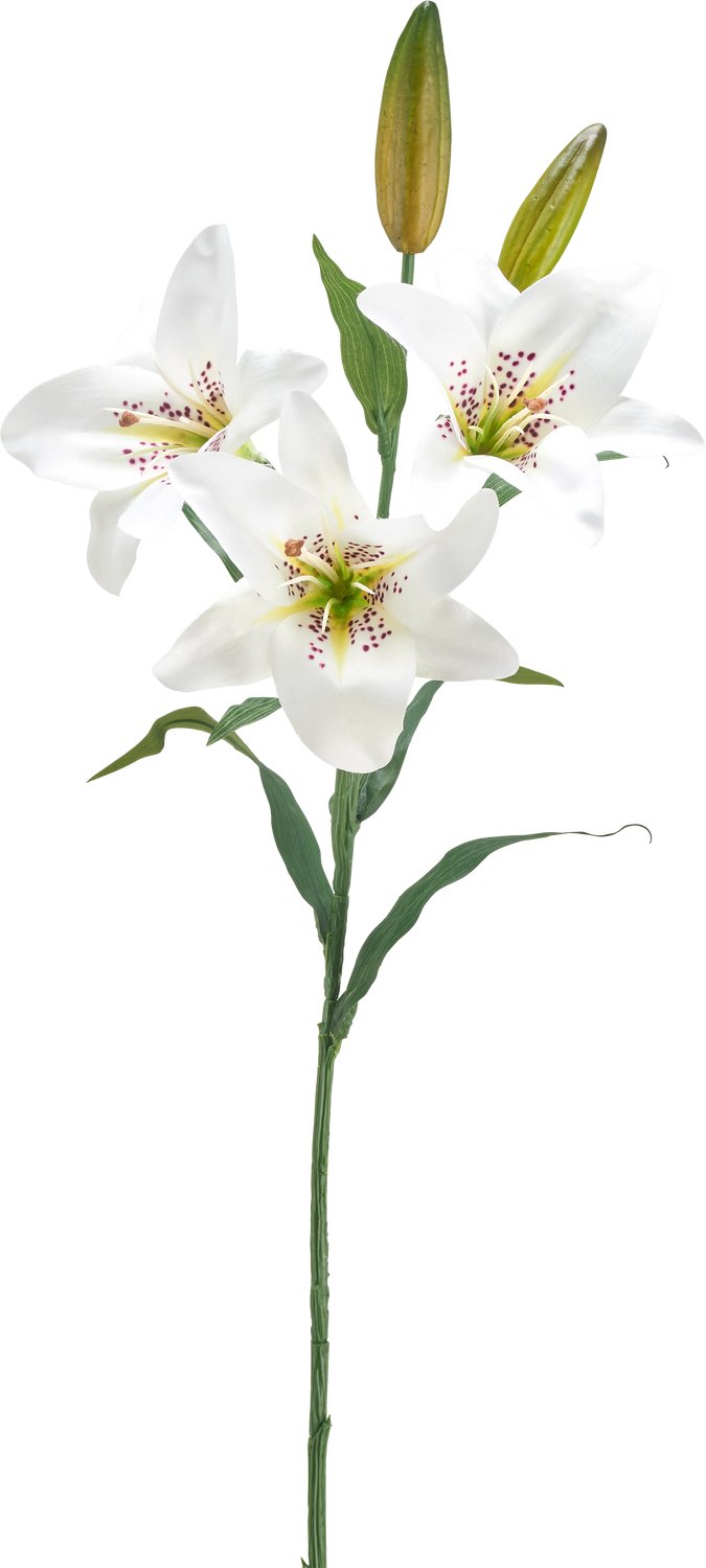 Easyplants | Kunstbloem Lelie 78 cm wit | Zijde | Nepbloemen | wit | Onderhoudsvrij | Kant-en-klaar