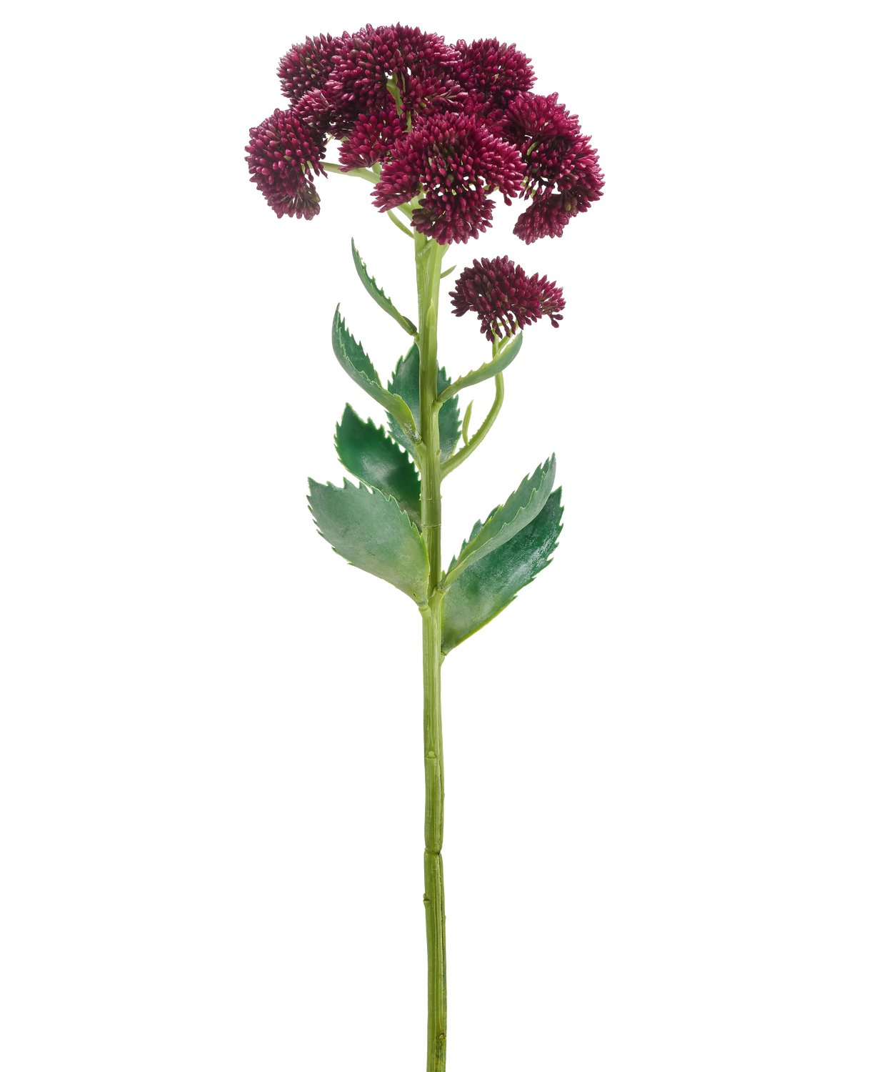 Easyplants | Kunstbloem Sedum 57 cm paars | Zijde | Nepbloemen | paars | Onderhoudsvrij | Kant-en-klaar