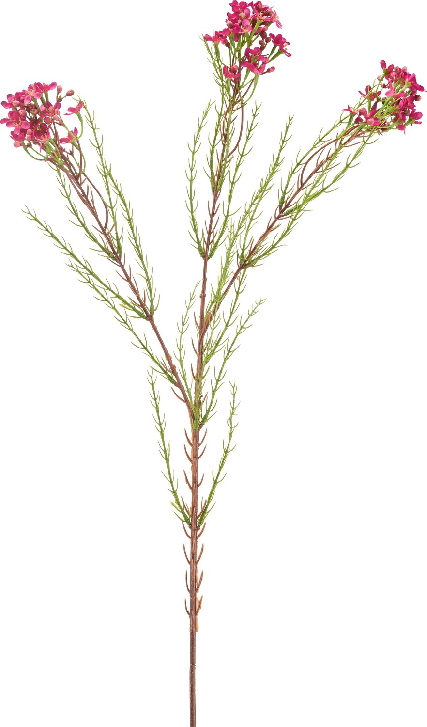 Easyplants | Kunstbloem Wax 78 cm oud roze | Zijde | Nepbloemen | roze | Onderhoudsvrij | Kant-en-klaar