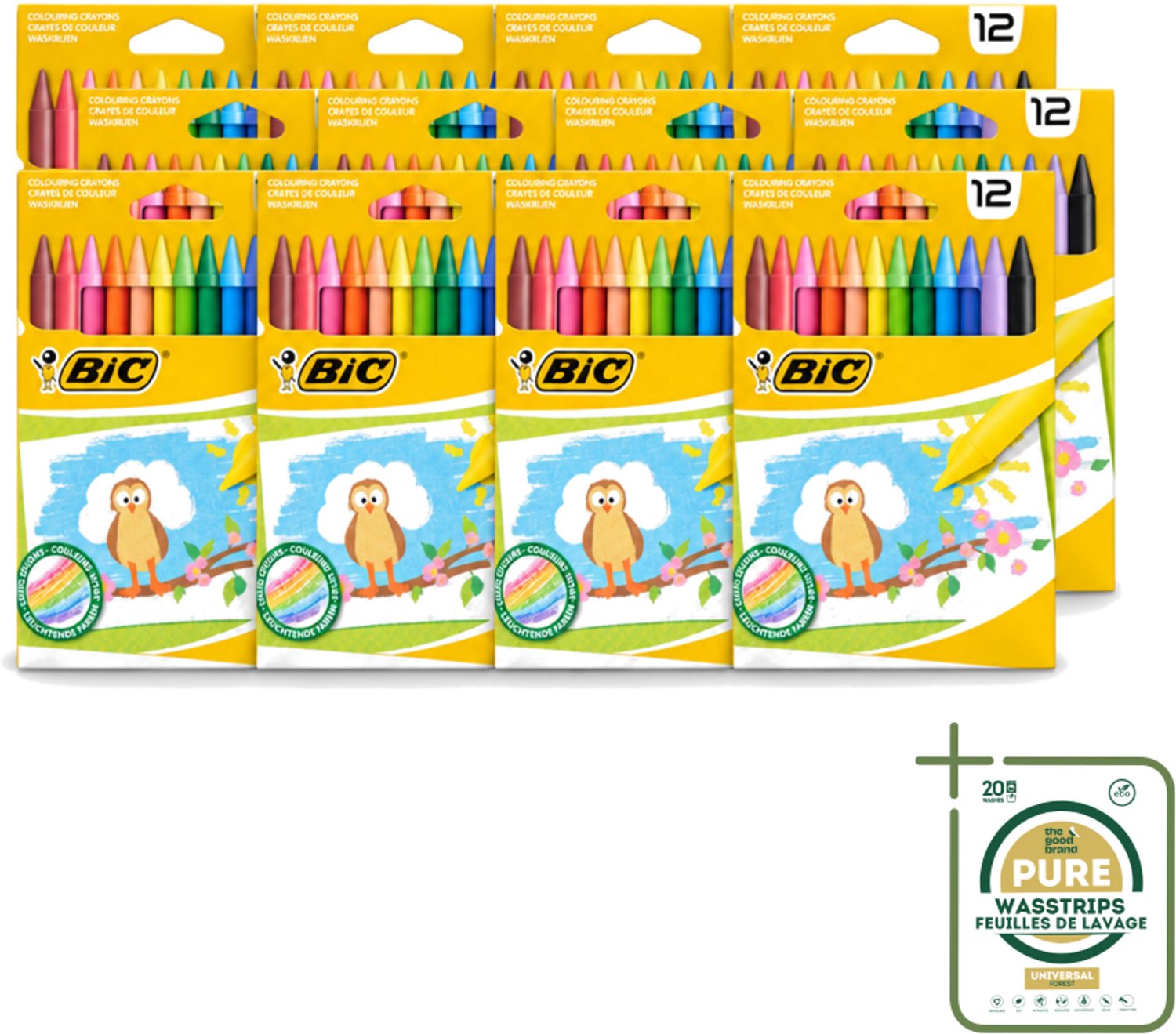 12 x BIC - Waskrijt - Diverse Kleuren - 12 Krijtjes - Waskrijt - Kleurkrijt - Creatief Schrijven - Tekenen - Kleurrijke Krijtjes