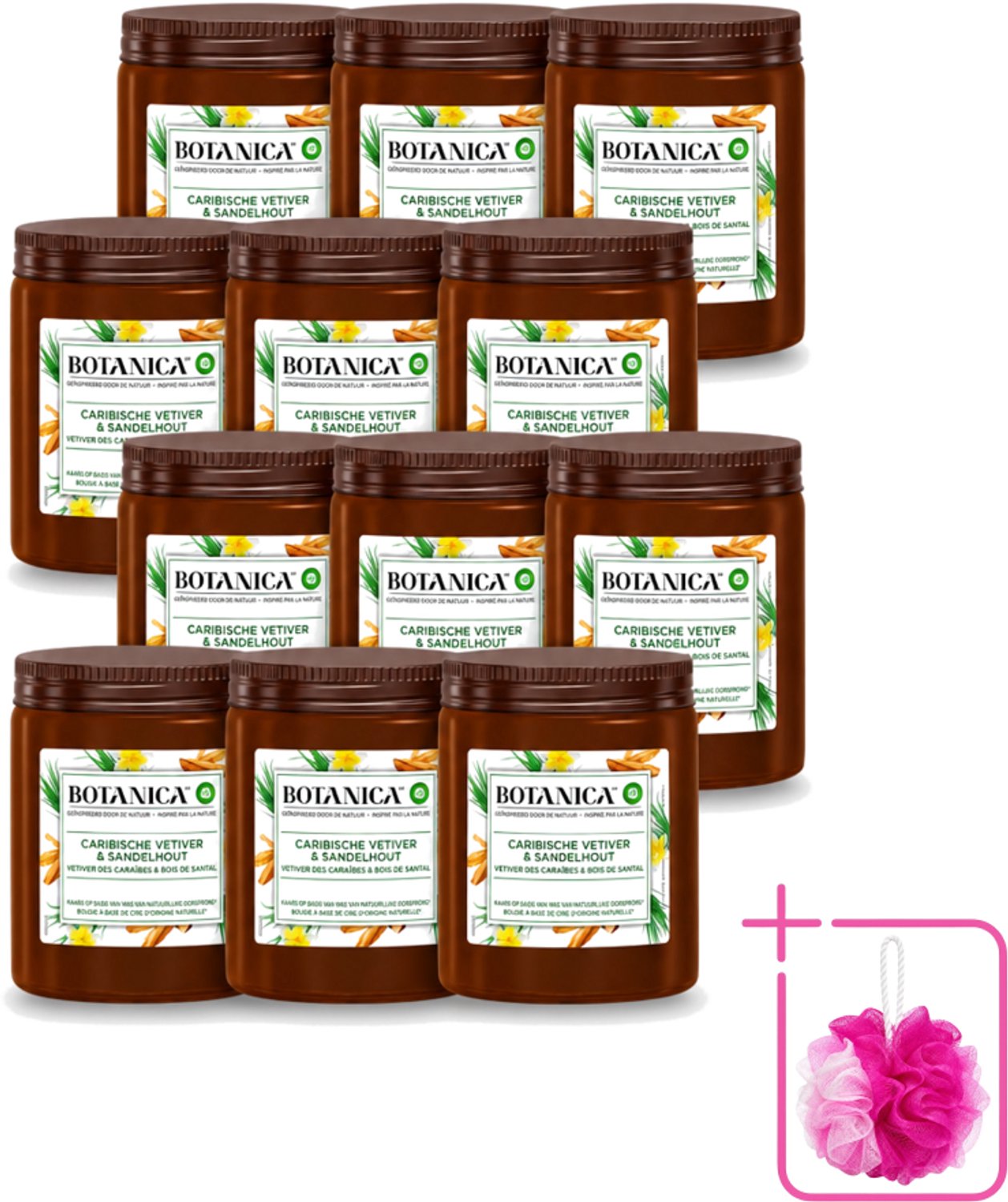 Air Wick 12 x Botanica by Air Wick - Geurkaars - Vetiver & Sandelhout - 40 Uur Brandduur - Bulkverpakking - Geurkaars vetiver sandelhout - Douchemop - Vetiver geur Bruin
