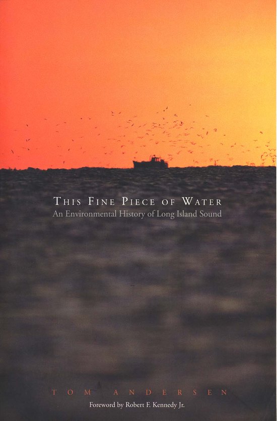Boekomslag: een boot op water bij zonsondergang met de titel "This Fine Piece of Water".